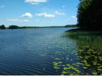 Пол дня на Борисовском озере